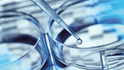 Pipette and collection dishes 