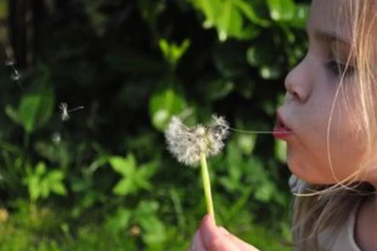 Child blowing dandelion